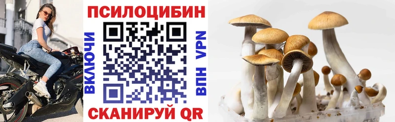 купить наркоту  hydra ONION  shop какой сайт  Батайск  Галлюциногенные грибы мицелий 